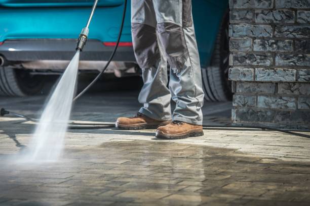 Best Fleet Vehicle Washing  in Oak Grove, MN