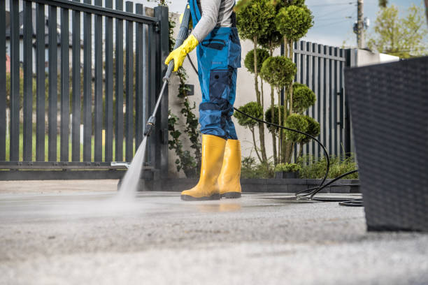 Best Sidewalk and Walkway Cleaning  in Oak Grove, MN